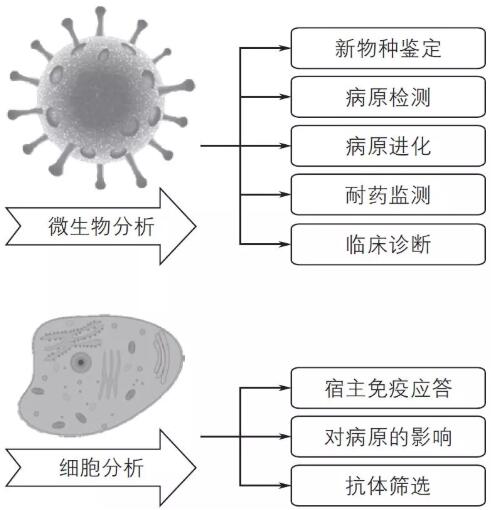 單細胞測序技術(shù)及其在傳染病研究領(lǐng)域中的應(yīng)用講解