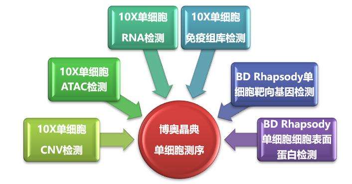 單細胞測序技術(shù)及其在傳染病研究領(lǐng)域中的應(yīng)用講解