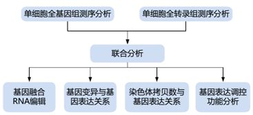 單細胞轉錄組測序的方法原理及應用