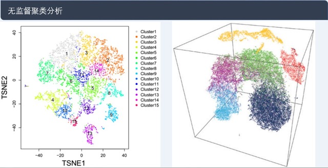 單細胞轉錄組測序(10x Genomics)詳解