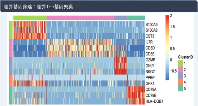 單細胞轉錄組測序(10x Genomics)詳解